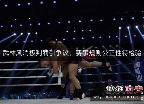 武林风消极判罚引争议,赛事规则公正性待检验 武林风消极判罚引争议,赛事规则公正性待检验